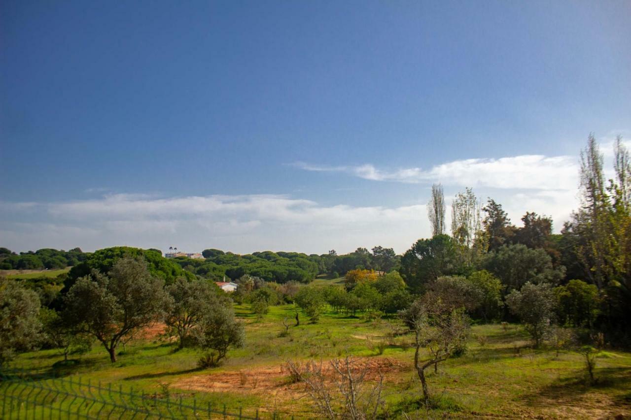 Villa Yvonne,Private Pool,Private Parking 1,7 Km From The Beatch Albufeira Ngoại thất bức ảnh
